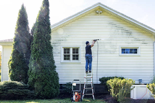 Best Roof Washing  in Kennedy, CA